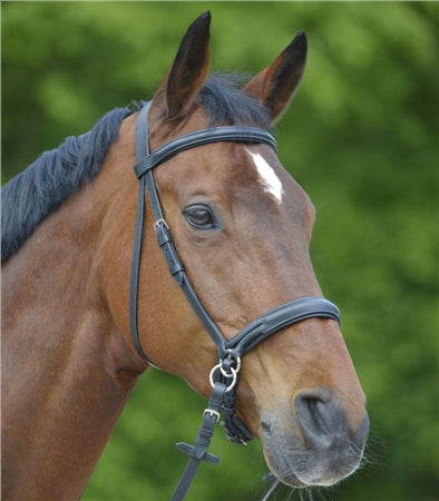 Star Bitless Bridle | Black | Extra Full | Waldhausen
