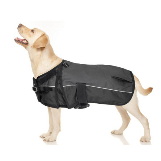 Waterproof Dog & Pony Blanket ~ XL