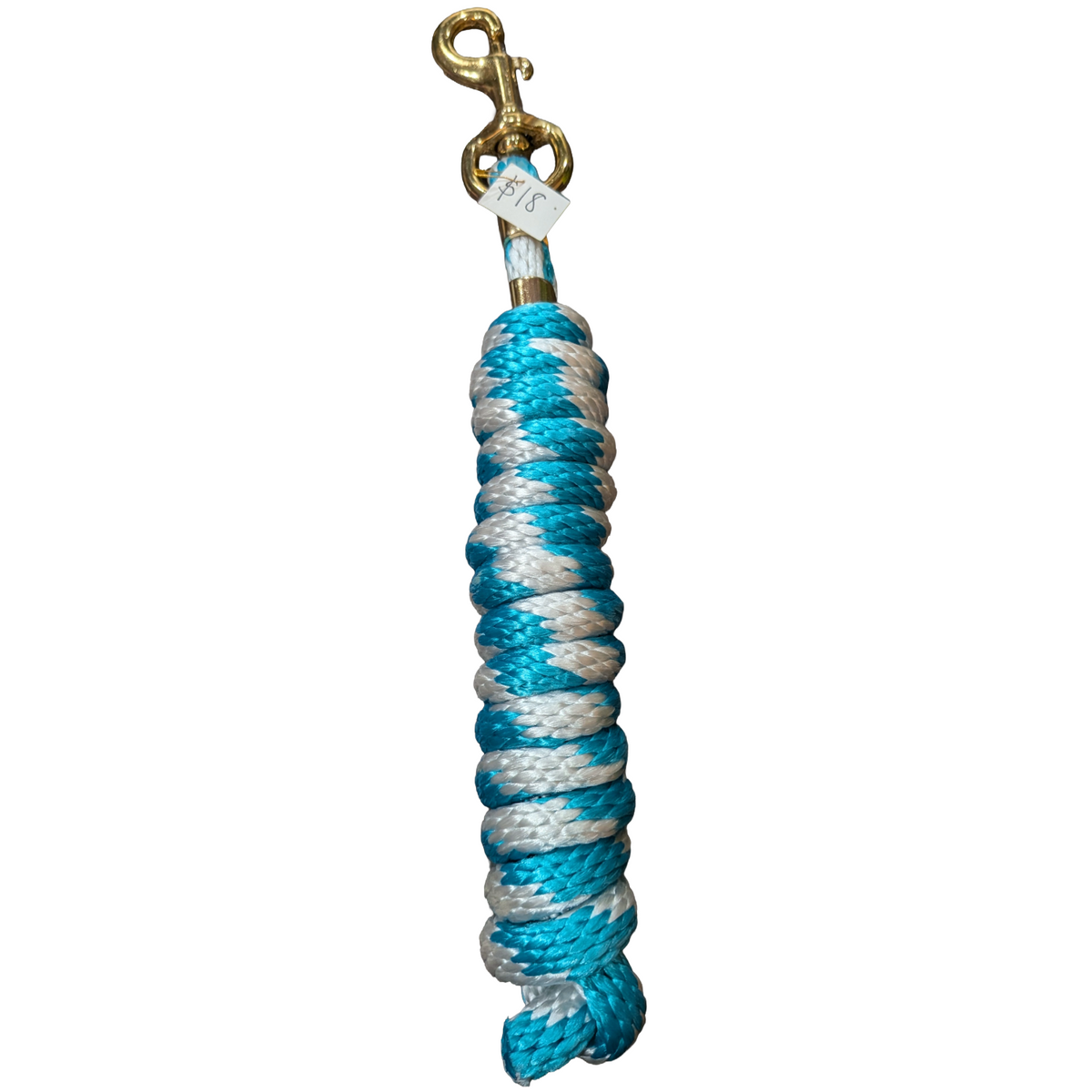 White & Turquoise | Poly Lead Rope | 10' | Bolt Snap