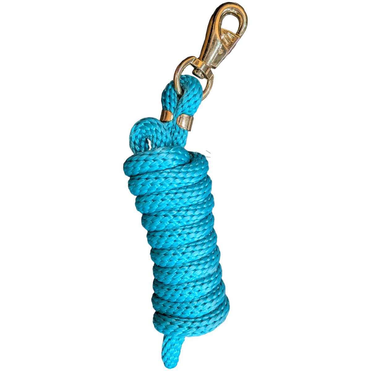 Aqua | Poly Lead Rope | 9' | Bull Snap