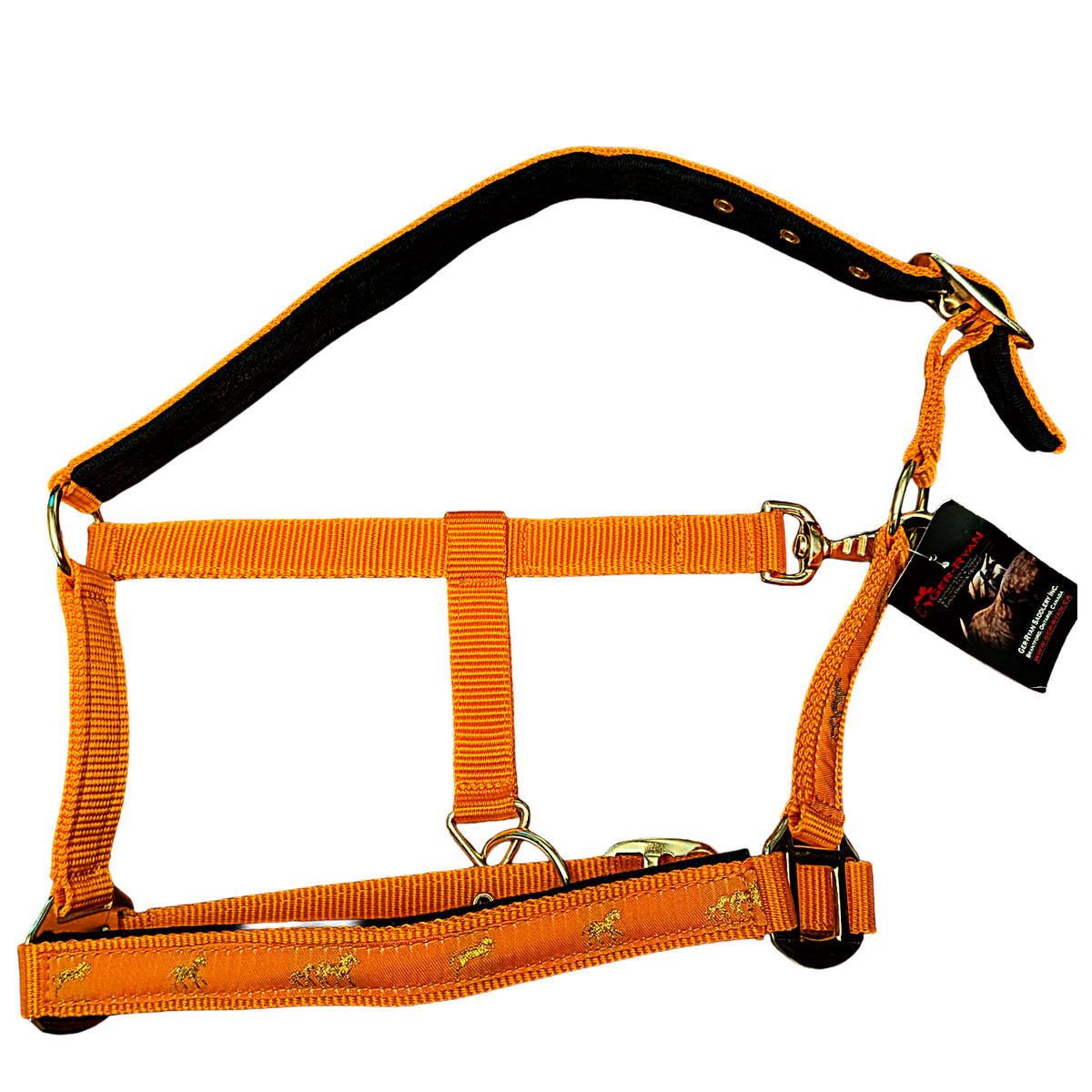 Pony Size | Orange | Gold Rush Nylon Halter
