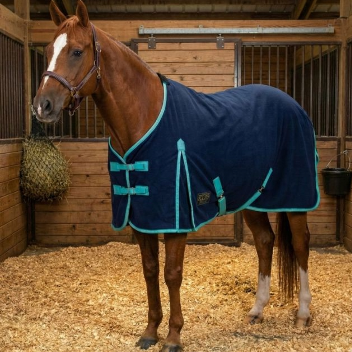 Blue Polar Fleece Cooler | Canadian Horsewear