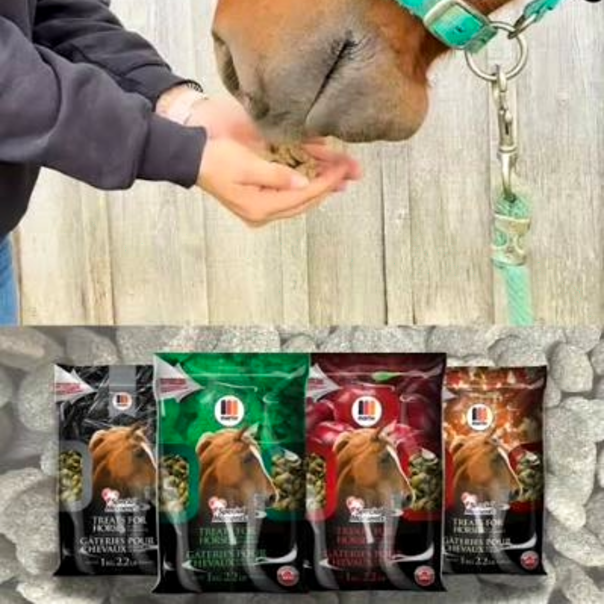 Apple | Special Moments Treats | 1KG Bag