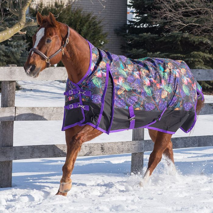Cosmic Garden Storm 160gm Mid-Neck Turnout Blanket ( Size in stock: 56, 63, 66, 72, 84 )