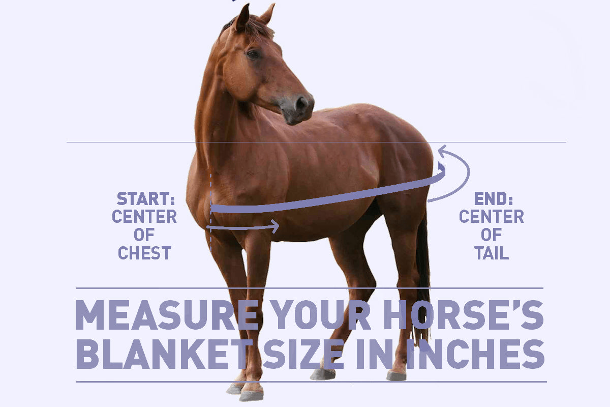 Orien 3 Fly Sheet | Canadian Horsewear