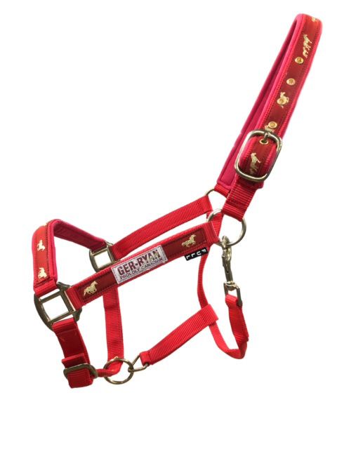 Gold Rush | Padded Nylon Halter