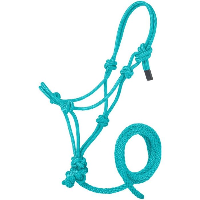 Rope Halter | Mini / Pony | Turquoise