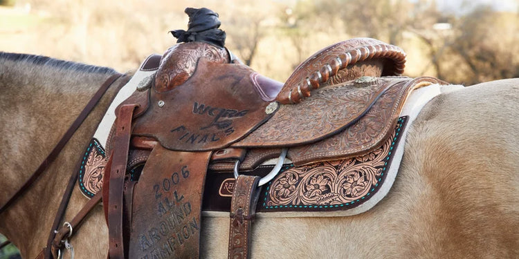 Western Saddle Accessories🍀