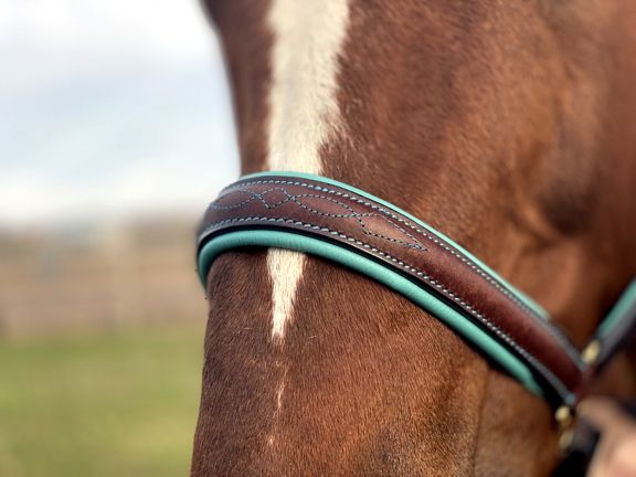 Elegant Stitch Leather Halter W/ Colored Padding