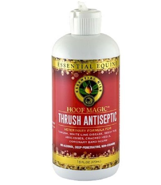 Hoof Magic Thrush Antiseptic 16oz Essentials Equine