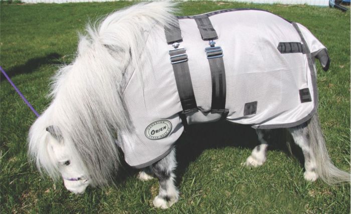 Mini & Pony Size Fly Sheet