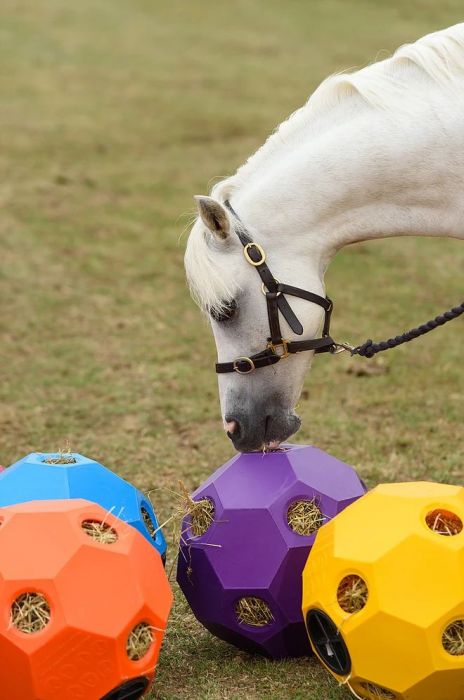 Hay & Play Ball Feeder