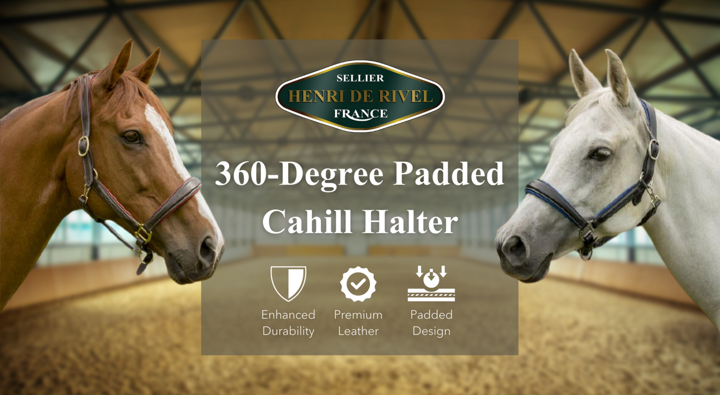 Havana & Garnet Cahill 360 Degree Padded Halter Cob