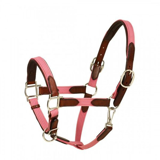 Cob Size Candy Pink Web & Leather Padded Halter
