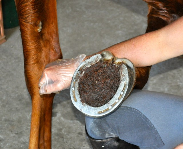 Magic Cushion Hoof Packing ~ 4lb