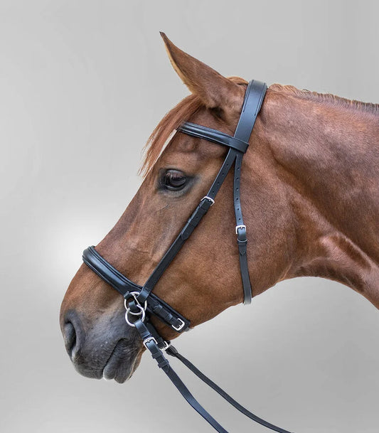 Star Bitless Bridle | Black | Extra Full | Waldhausen