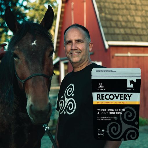 Equine Recovery Extra Strength
