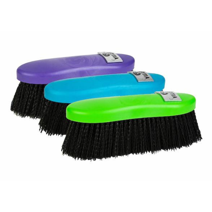 Dandy Brush w/ Plastic Back ~ Lettia