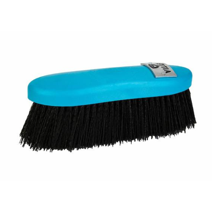 Dandy Brush w/ Plastic Back ~ Lettia