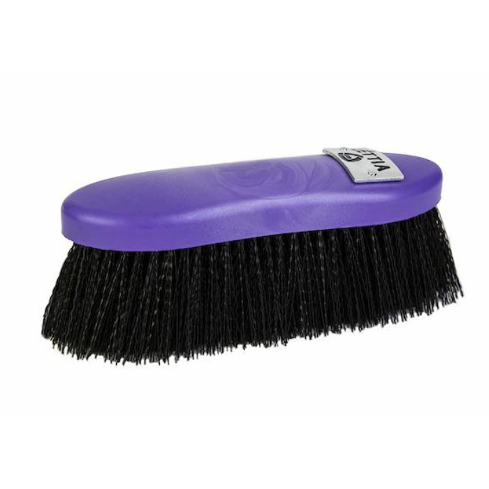 Dandy Brush w/ Plastic Back ~ Lettia