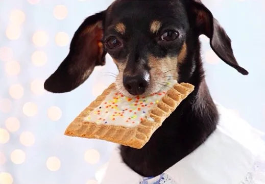 Pup-Tarts Gourmet Dog Cookies