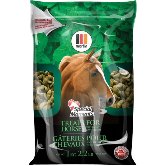 Peppermint | Special Moments Treats | 1KG Bag