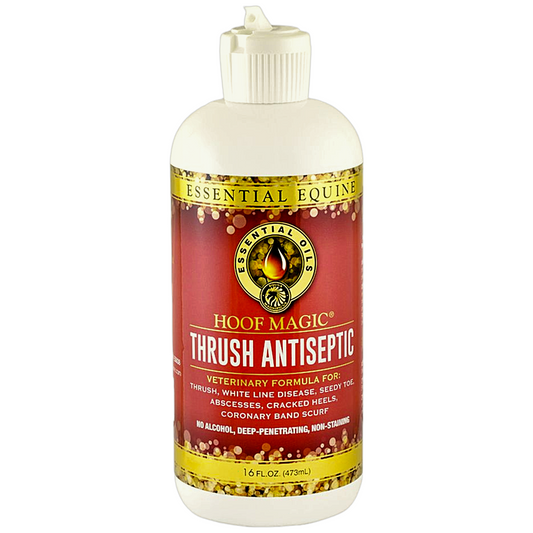 Hoof Magic Thrush Antiseptic | Essential Equine | 16oz