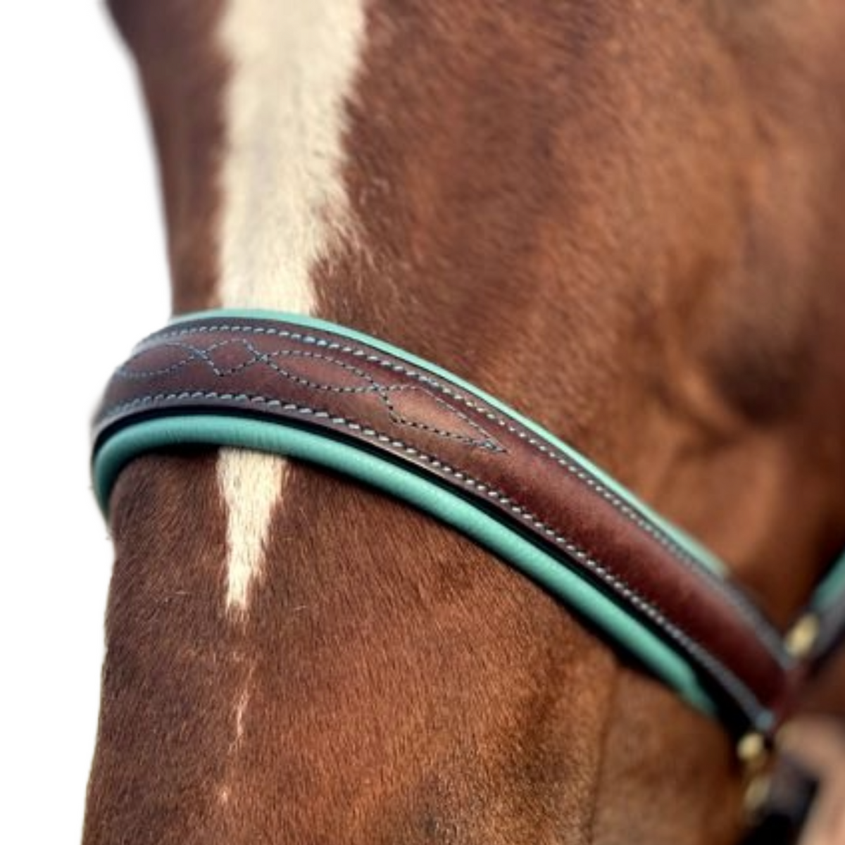 Fancy Stitch & Turquoise Padded Leather Halter | Havana