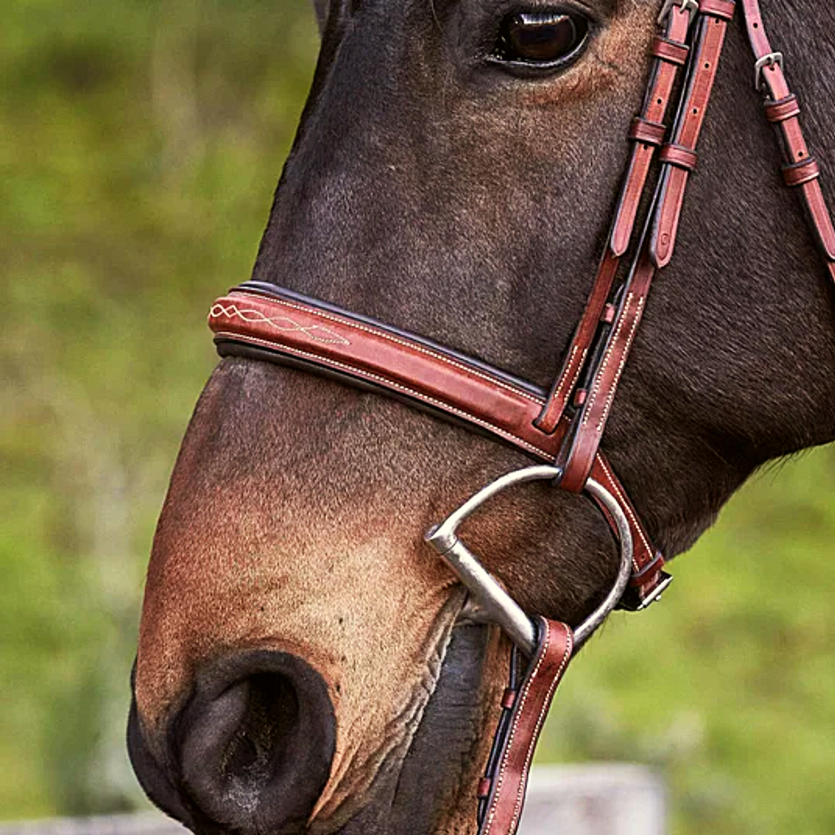 Carlisle Anatomic Bridle And Reins | Havana | Ovation