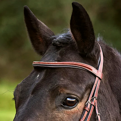 Carlisle Anatomic Bridle And Reins | Havana | Ovation