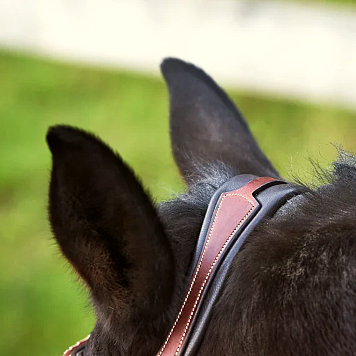 Carlisle Anatomic Bridle And Reins | Havana | Ovation