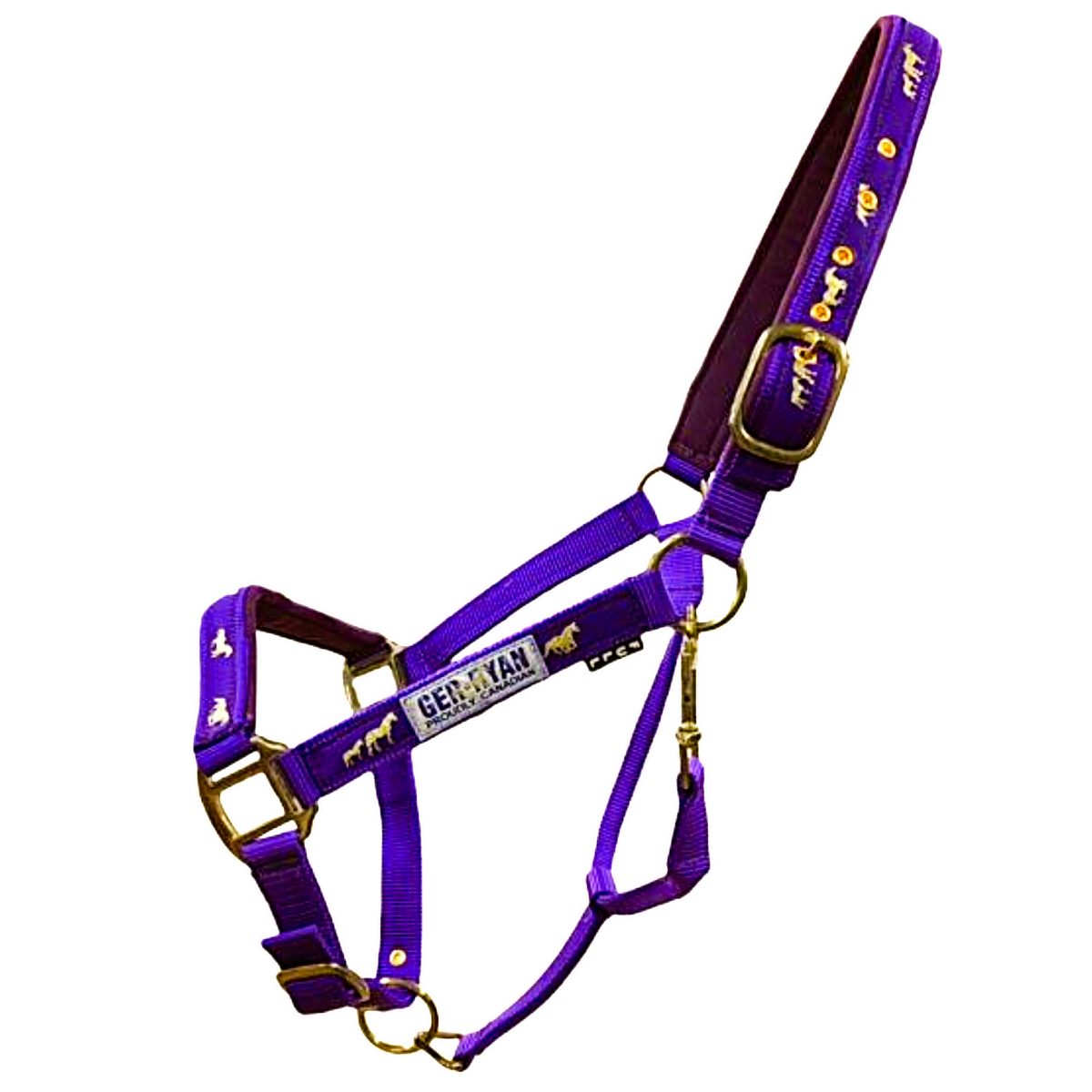 Cob Size | Purple | Gold Rush Nylon Halter