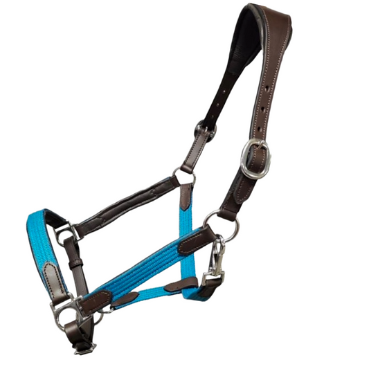 Turquoise Webbing And Leather Padded Halter