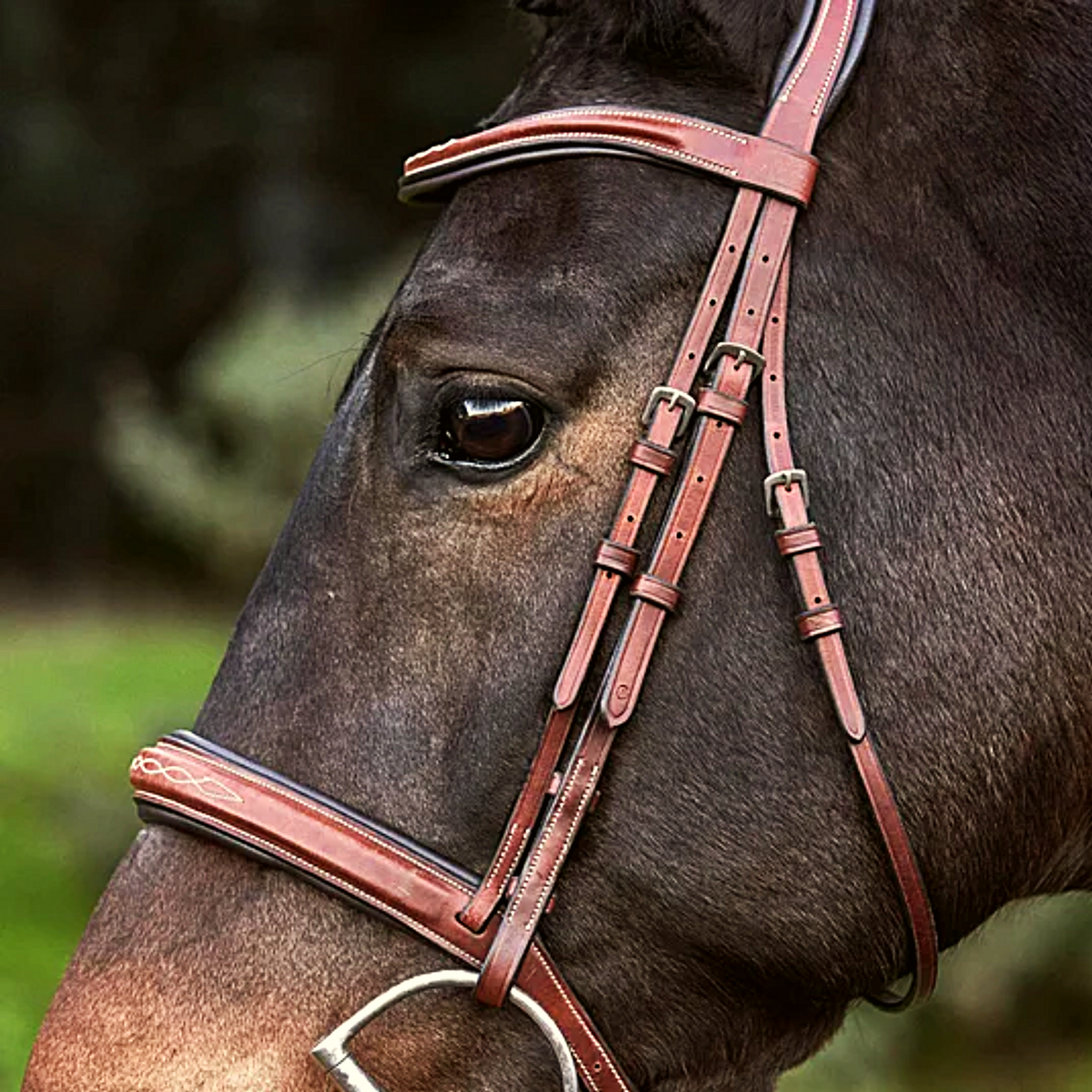 Carlisle Anatomic Bridle And Reins | Havana | Ovation