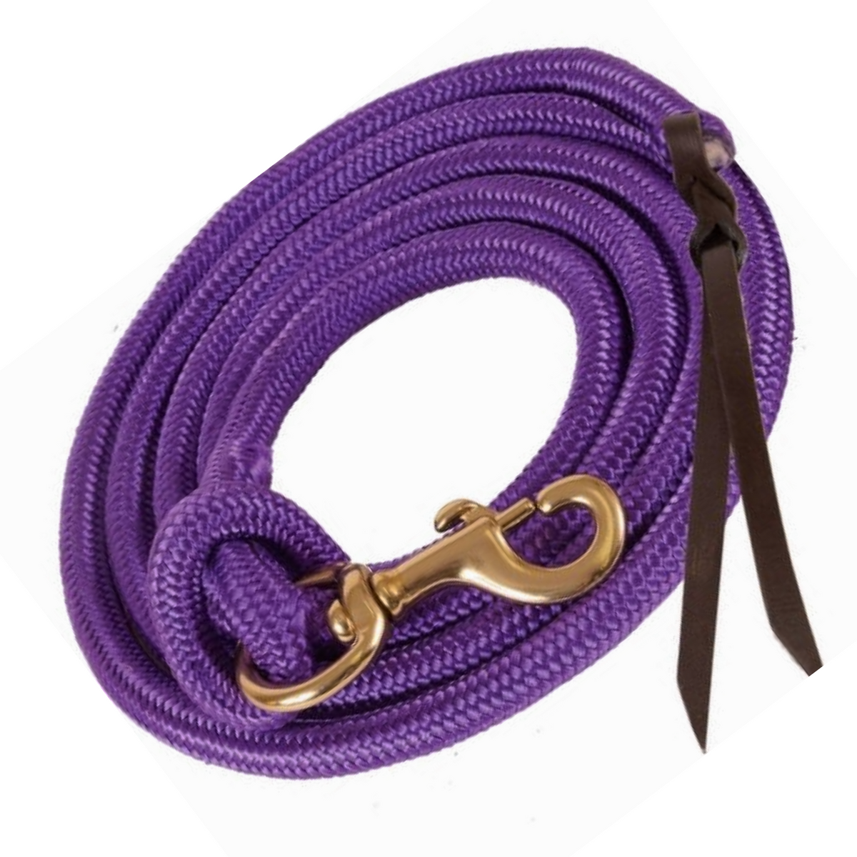 Leather Popper Lead Rope | Removable Bolt Snap | 10'
