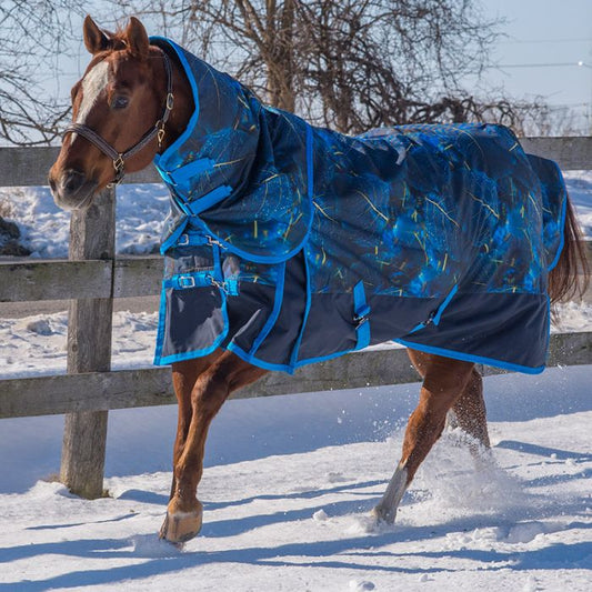 Pandora Diablo 300gm Removable Neck Turnout Blanket