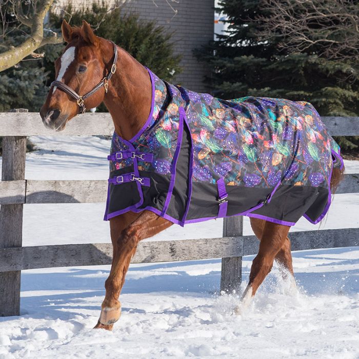 Cosmic Garden Storm 160gm Mid-Neck Turnout Blanket Size 56, 63, 66, 84