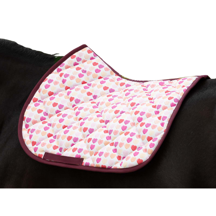 Love Stinks ~ Full Size A/P Saddle Pad ~ Dreamers & Schemers