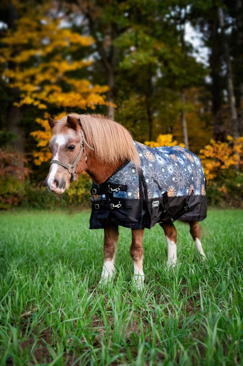 Celestial Diablo 300gm Removable Neck Turnout Blanket Size 52, 60, 66