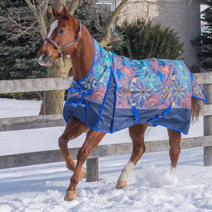 Kaleidoscope Storm 160gm Mid-Neck Turnout Blanket Size 60, 66