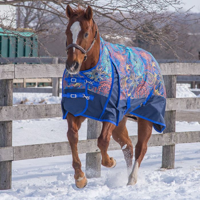 Kaleidoscope Storm 160gm Mid-Neck Turnout Blanket ( Size in stock: 60, 66, 75, 78 )