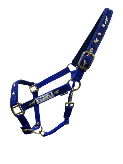 Gold Rush | Padded Nylon Halter