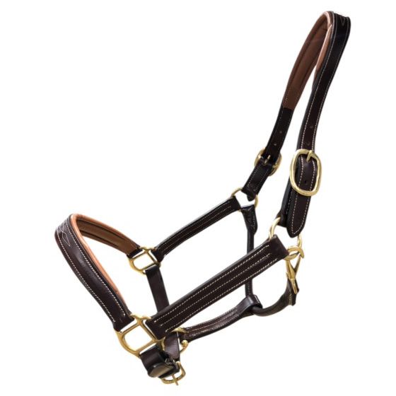 Dual Tone Padded Leather Halter