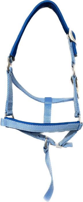 Whale Blue Mini Size Padded Halter