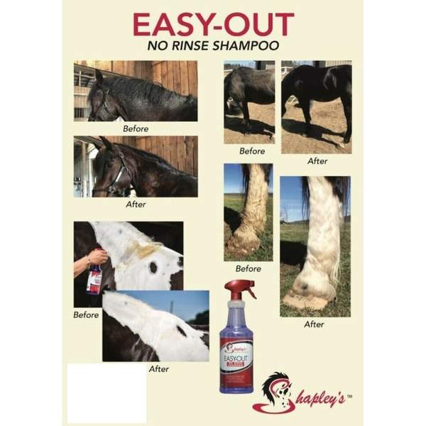 Easy Out *No Rinse* Shampoo Spray