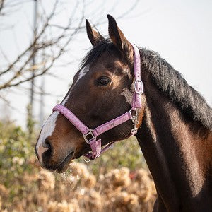 Lyvia | Padded Nylon Halter | QHP