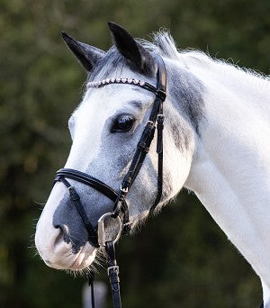 Happy Hearts Bridle & Reins | Mini & Pony | Waldhausen