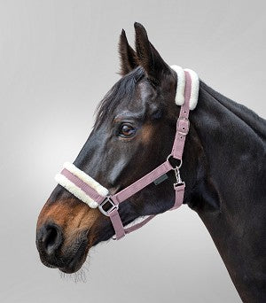 Fluffy Pink Halter | Mini / Shetty Size