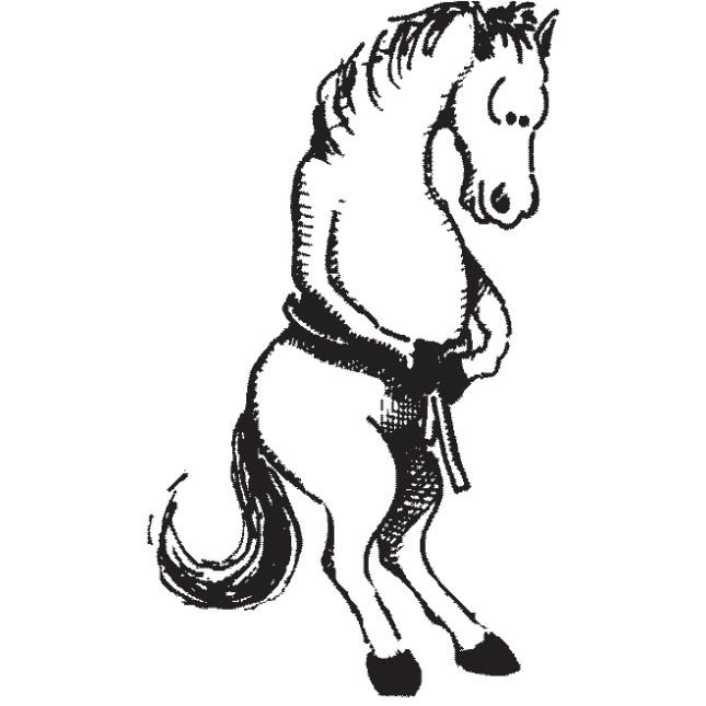 Equine Height & Weight Tape