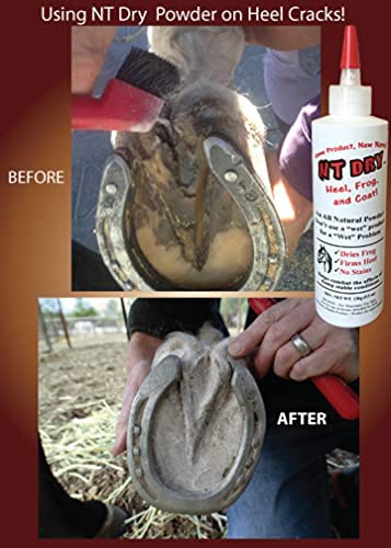 No Thrush! Dry Hoof & Frog Powder 2.5oz